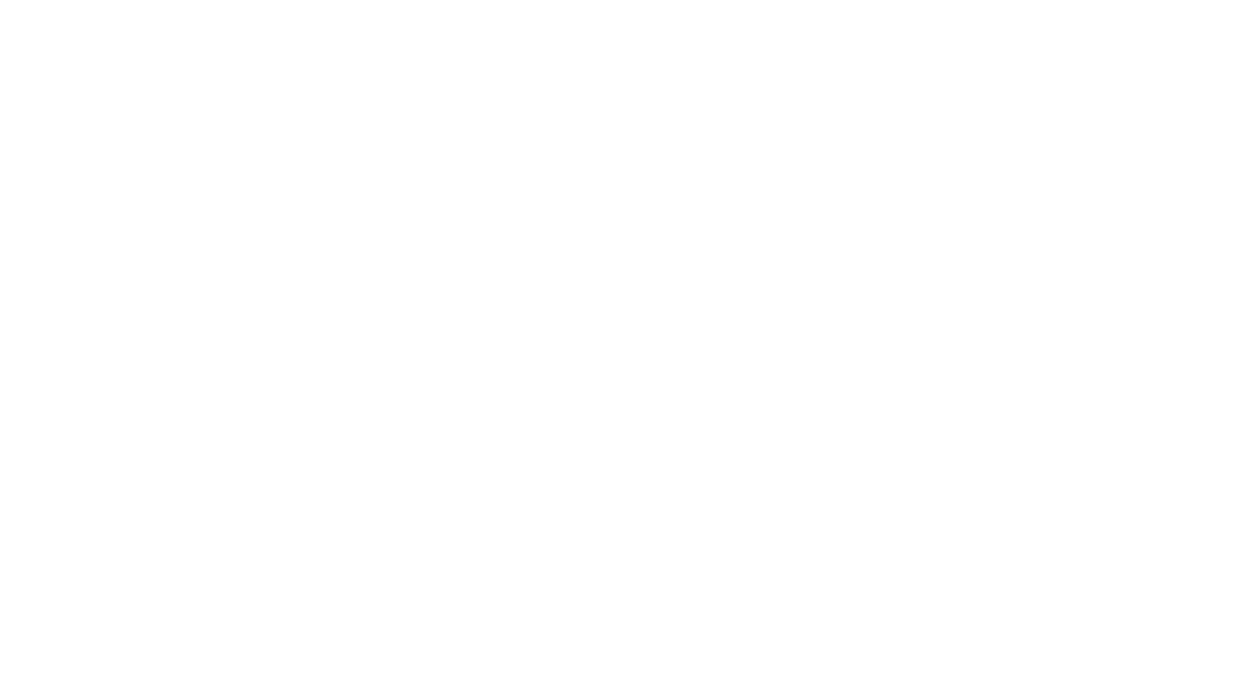 Novy Logo
